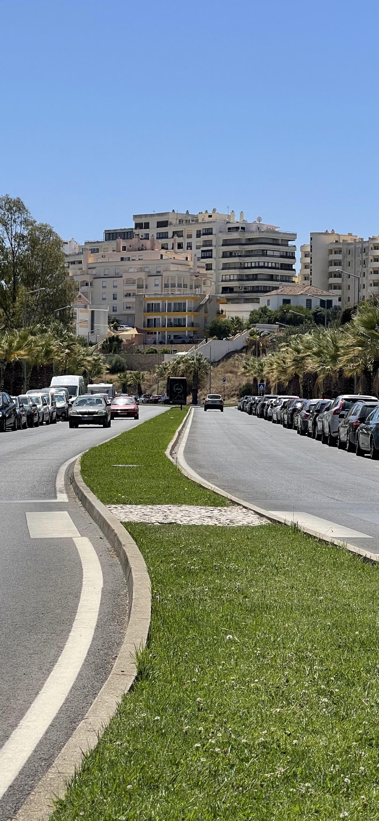 Solo Silva Inspiration